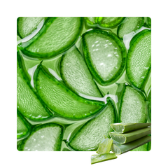 {"type":"root","children":[{"type":"paragraph","children":[{"type":"text","value":"Aloe Vera Extract"}]}]}