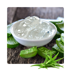 {"type":"root","children":[{"type":"paragraph","children":[{"type":"text","value":"Aloe Vera Extracts"}]}]}