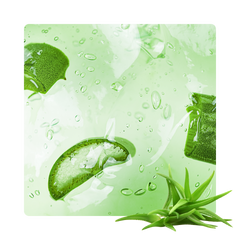 {"type":"root","children":[{"type":"paragraph","children":[{"type":"text","value":"Aloe Vera"}]}]}