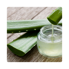 {"type":"root","children":[{"type":"paragraph","children":[{"type":"text","value":"Aloevera"}]}]}