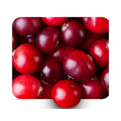 {"type":"root","children":[{"type":"paragraph","children":[{"type":"text","value":"Alpha Arbutin"}]}]}