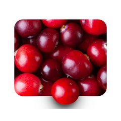 {"type":"root","children":[{"type":"paragraph","children":[{"type":"text","value":"Alpha Arbutin"}]}]}