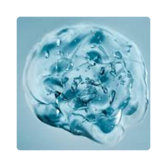 {"type":"root","children":[{"type":"paragraph","children":[{"type":"text","value":"2% Aquaxyl"}]}]}