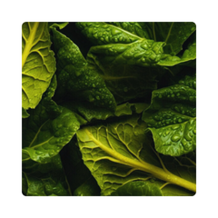 {"type":"root","children":[{"type":"paragraph","children":[{"type":"text","value":"B9 Vitapol"}]}]}