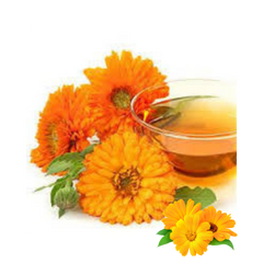 {"type":"root","children":[{"type":"paragraph","children":[{"type":"text","value":"Calendula Extract"}]}]}