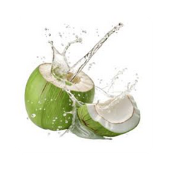 {"type":"root","children":[{"type":"paragraph","children":[{"type":"text","value":"Coconut Water"}]}]}