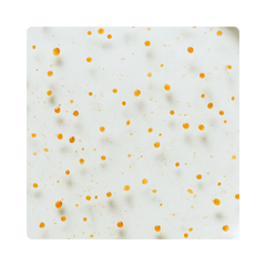 {"type":"root","children":[{"type":"paragraph","children":[{"type":"text","value":"Encapsulated Vitamin C"}]}]}