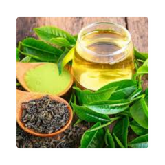 {"type":"root","children":[{"type":"paragraph","children":[{"type":"text","value":"Green Tea"}]}]}