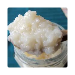 {"type":"root","children":[{"type":"paragraph","children":[{"type":"text","value":"Korean Rice Ferment"}]}]}