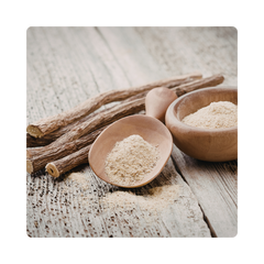 {"type":"root","children":[{"type":"paragraph","children":[{"type":"text","value":"Licorice Extracts"}]}]}