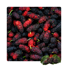 {"type":"root","children":[{"type":"paragraph","children":[{"type":"text","value":"Mulberry_Extracts\n\n"}]}]}