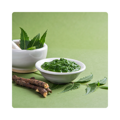 {"type":"root","children":[{"type":"paragraph","children":[{"type":"text","value":"Neem Extract"}]}]}