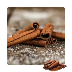 {"type":"root","children":[{"type":"paragraph","children":[{"type":"text","value":"Sepicontrol A5"}]}]}