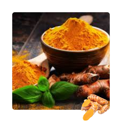 {"type":"root","children":[{"type":"paragraph","children":[{"type":"text","value":"Turmeric Extract"}]}]}