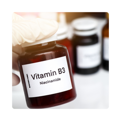 {"type":"root","children":[{"type":"paragraph","children":[{"type":"text","value":"Vitamin_B3\n\n"}]}]}