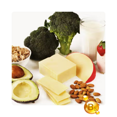 {"type":"root","children":[{"type":"paragraph","children":[{"type":"text","value":"Vitamin B5"}]}]}