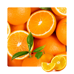 {"type":"root","children":[{"type":"paragraph","children":[{"type":"text","value":"Vitamin C "}]}]}